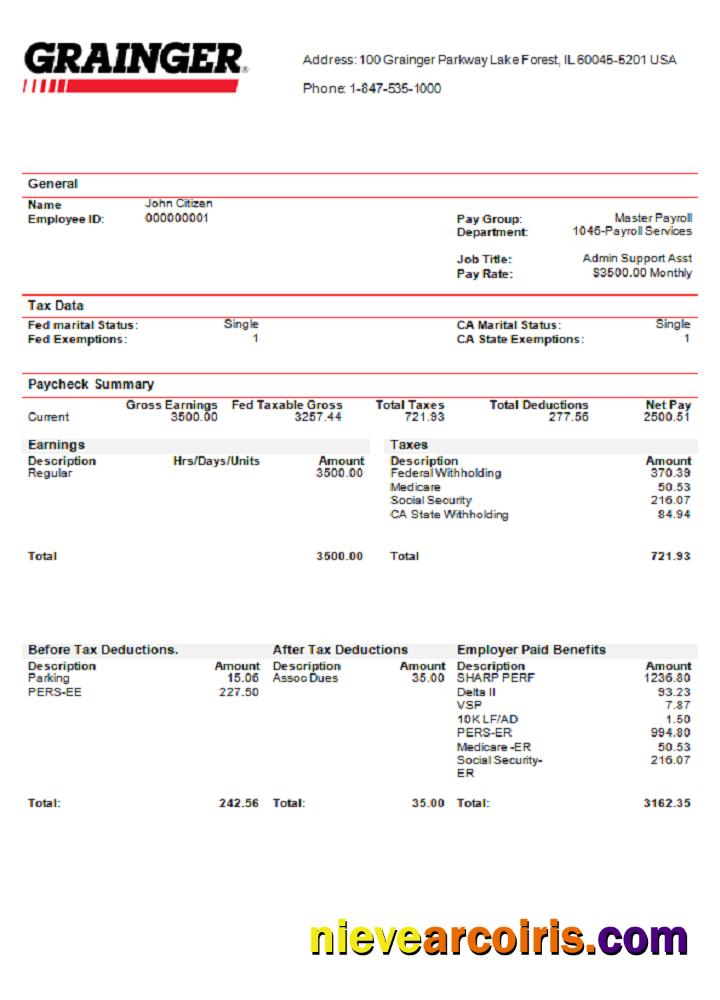 USA Grainger industry company pay stub